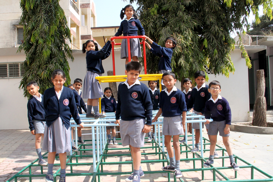 School Democracy Elections
